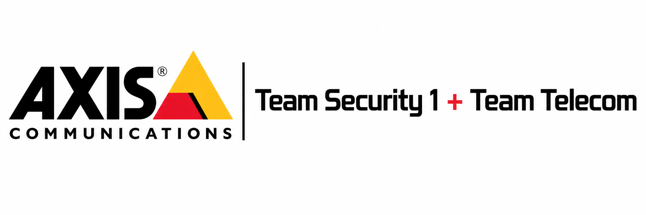 Team Telecom Security Services