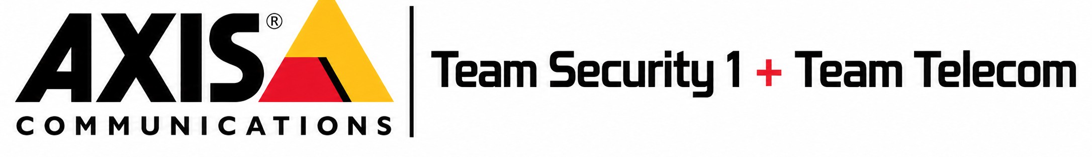 Team Telecom Security Services