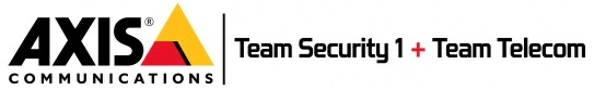 Team Telecom Security Services